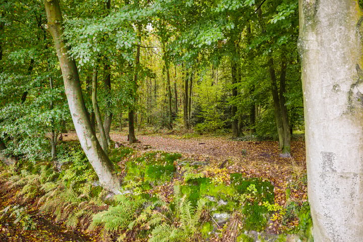 Foto 24 van Lange Singel 27