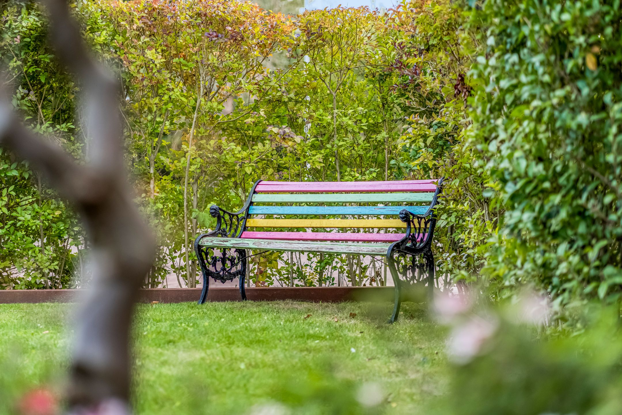 Foto 42 van Burchtgraafstraat 25