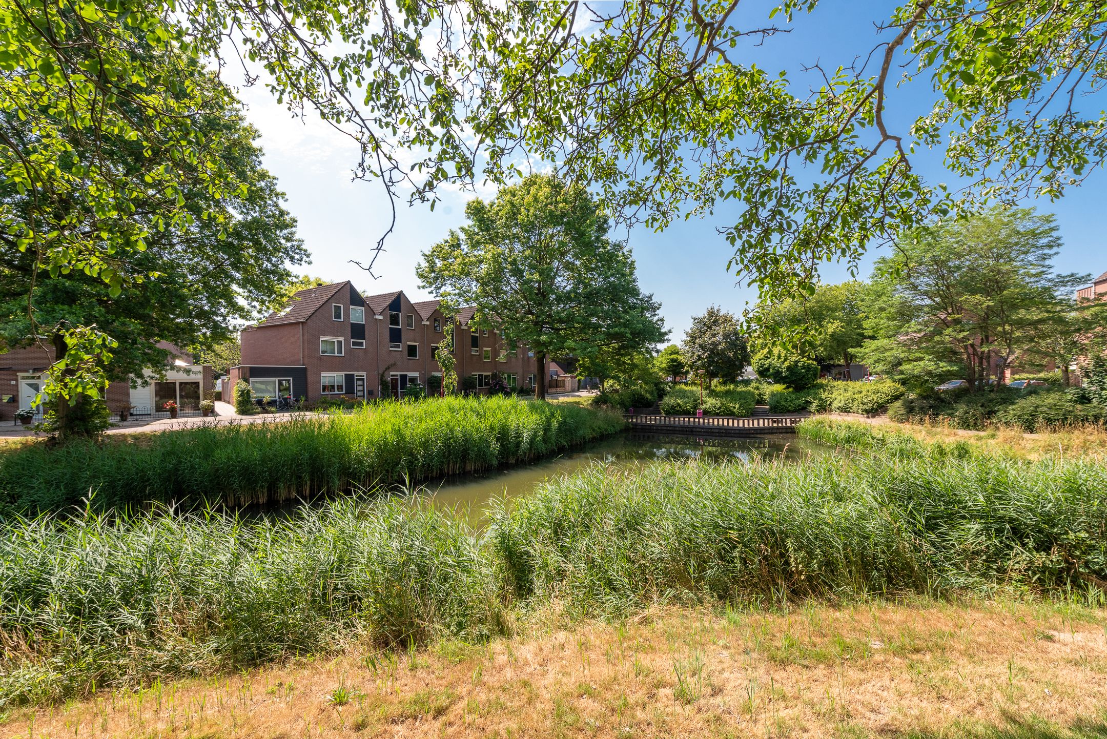 Foto 3 van Bosfazant 11