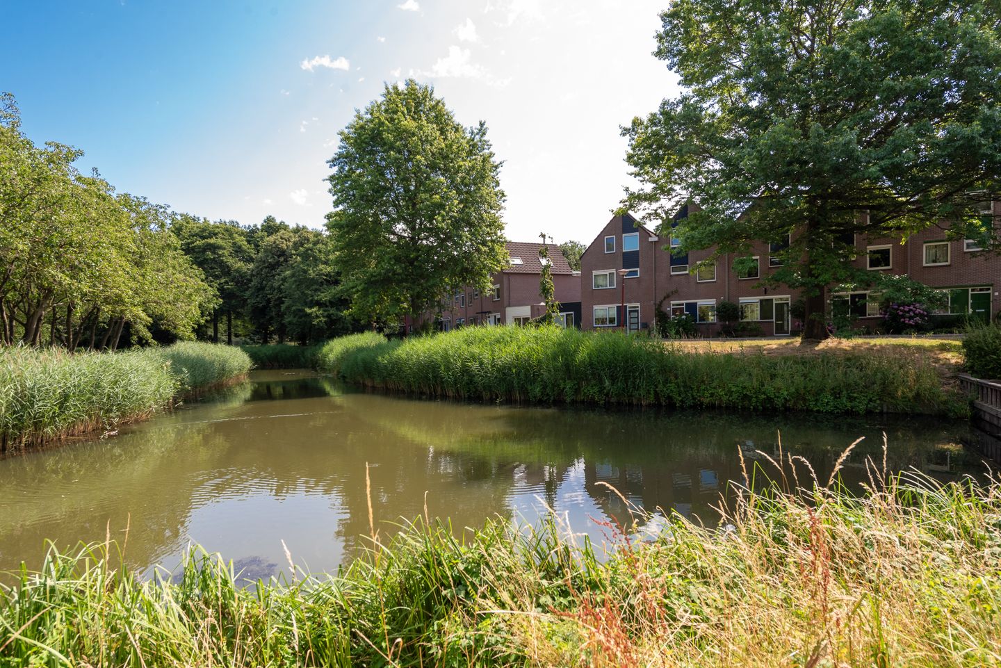 Foto 4 van Bosfazant 11