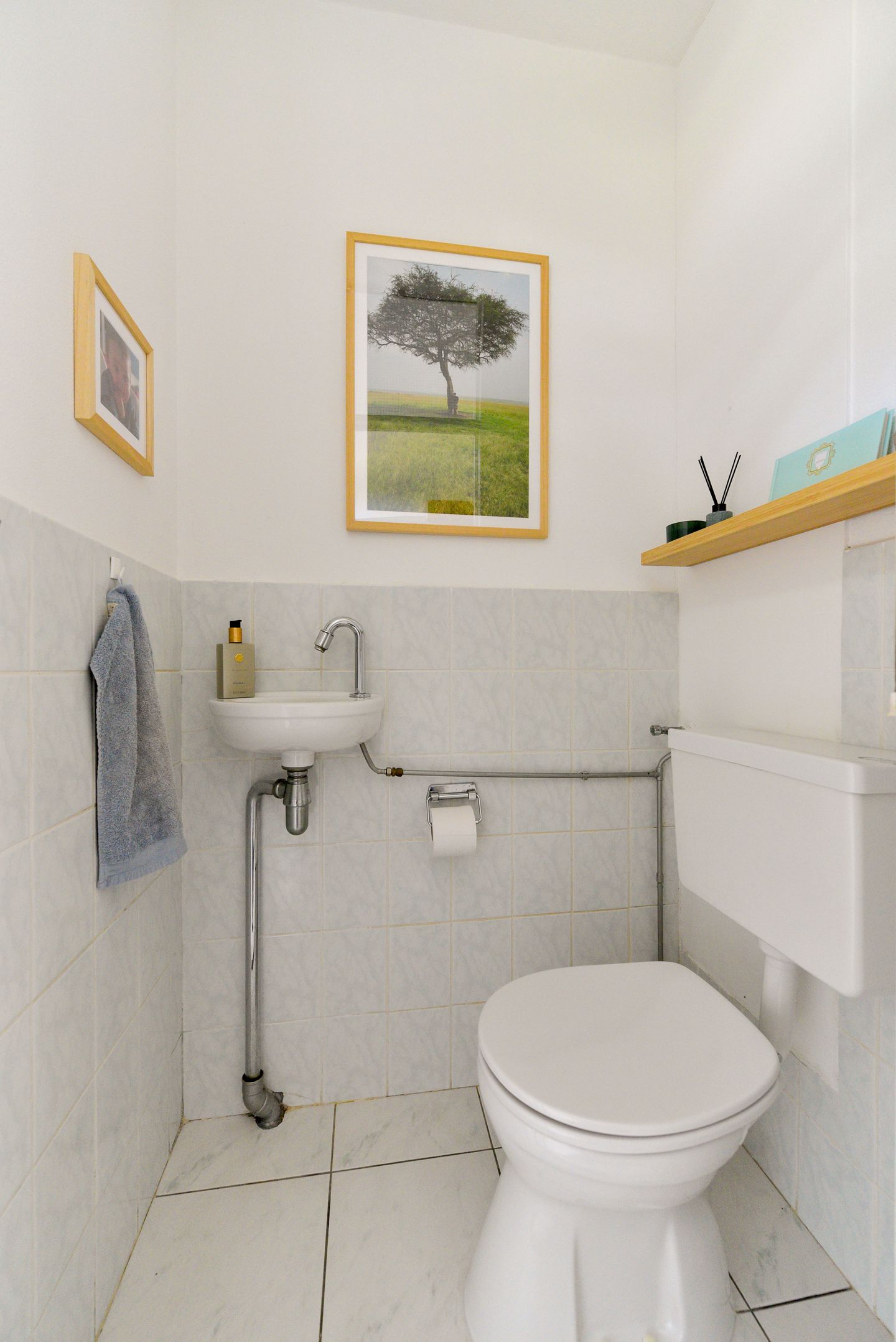 Foto 25 van Bosfazant 11