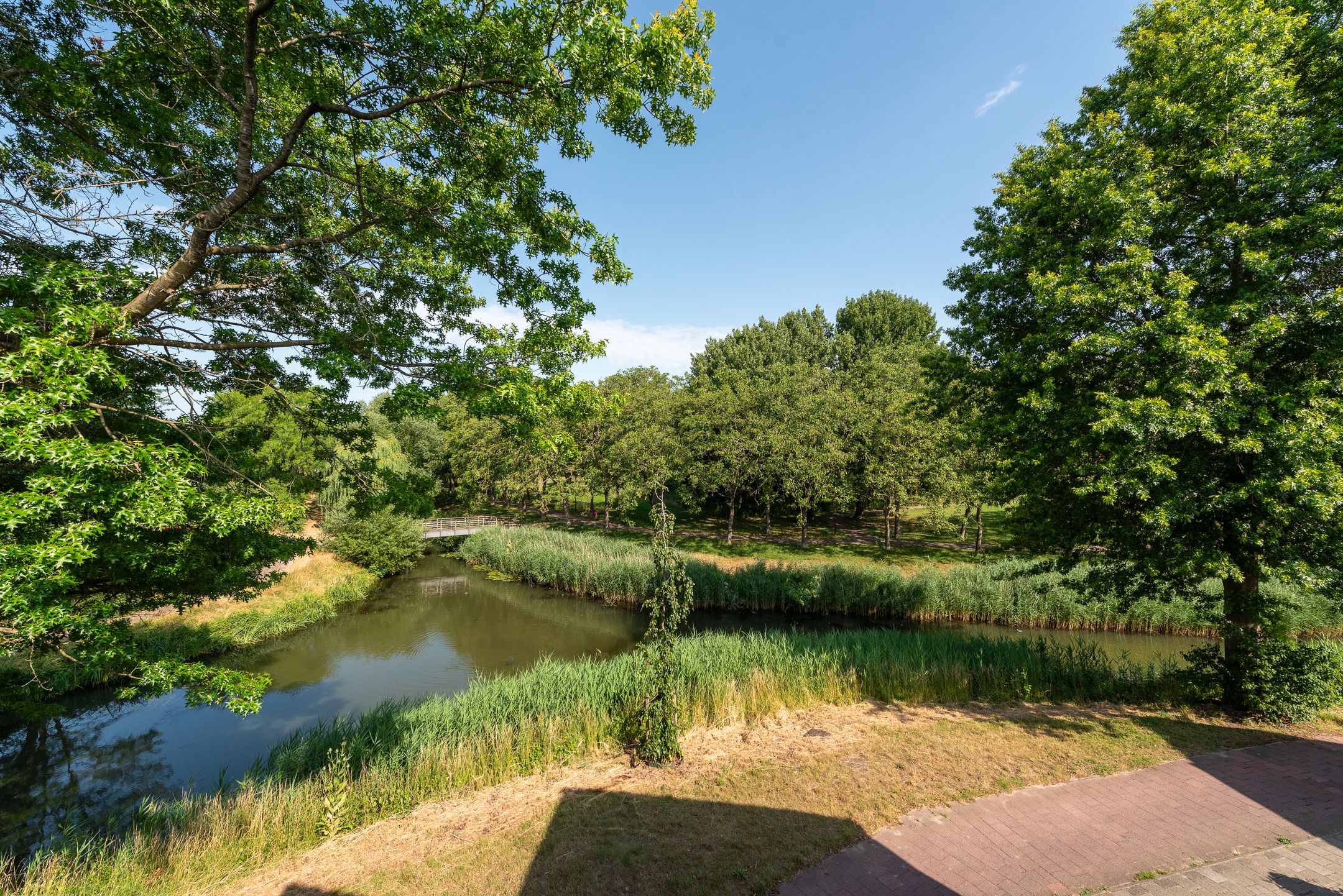 Foto 39 van Bosfazant 11