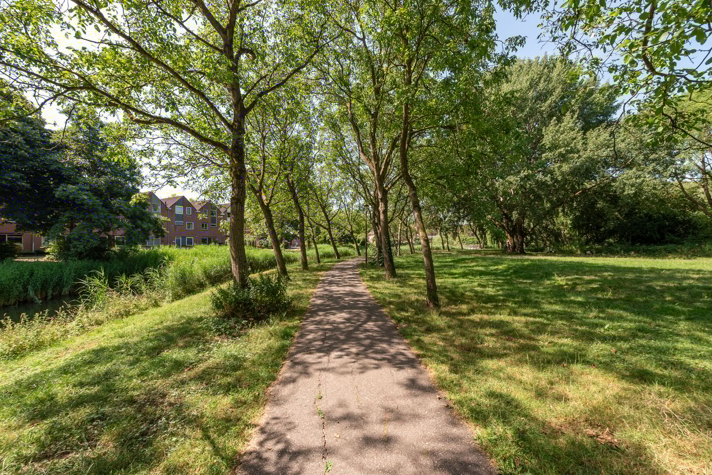 Foto 50 van Bosfazant 11