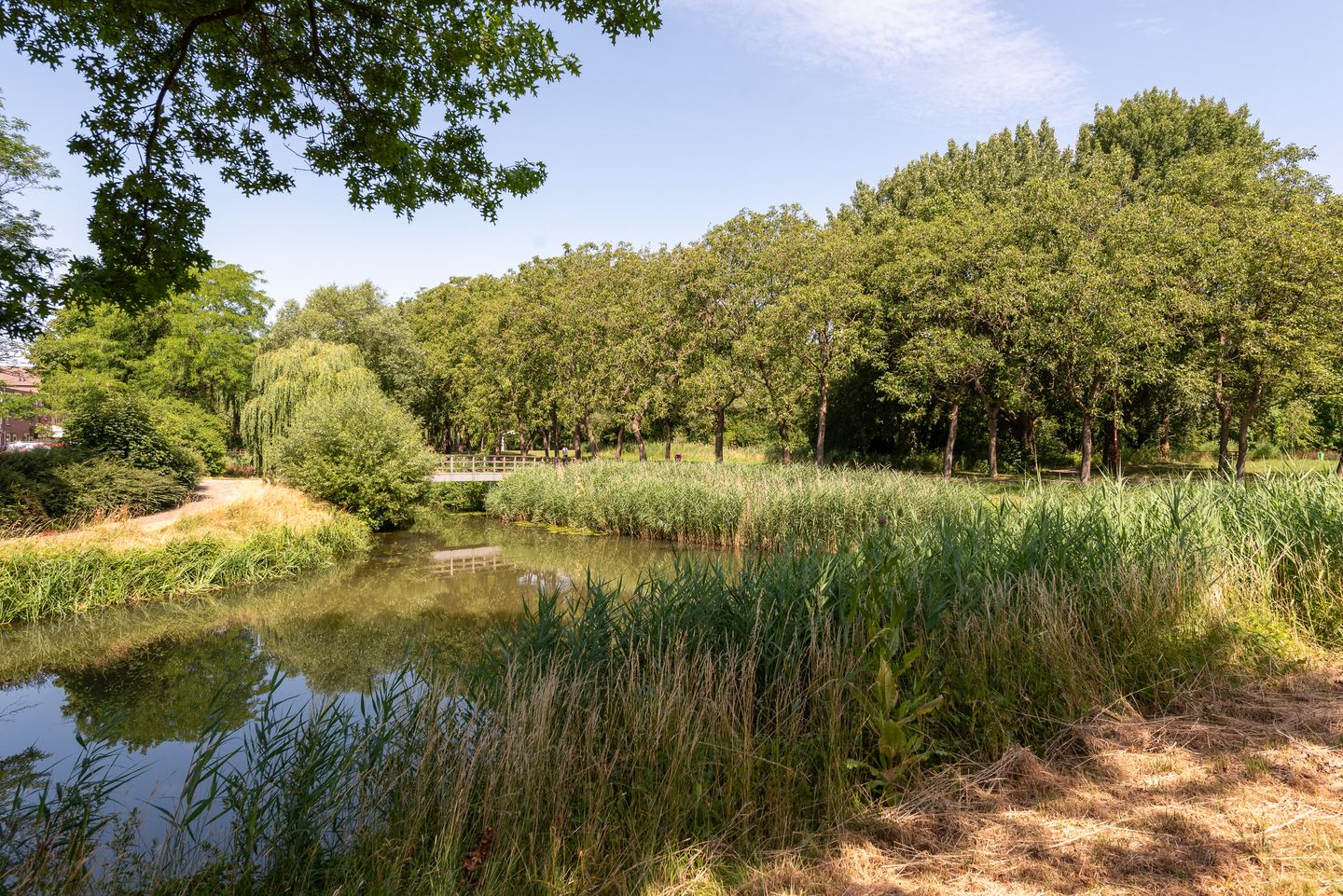 Foto 49 van Bosfazant 11