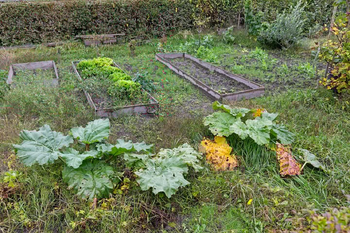 Foto 34 van Ubbo Emmiusstraat 18