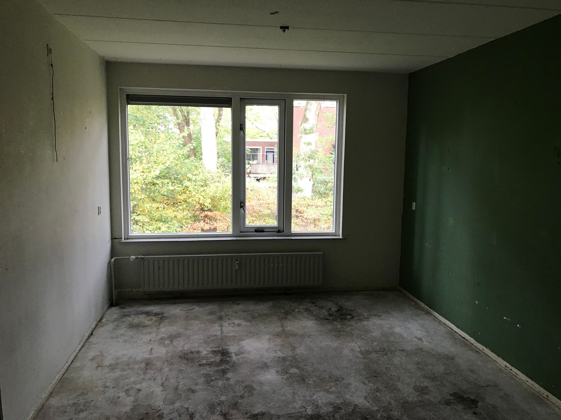 Foto 6 van Treubstraat 167