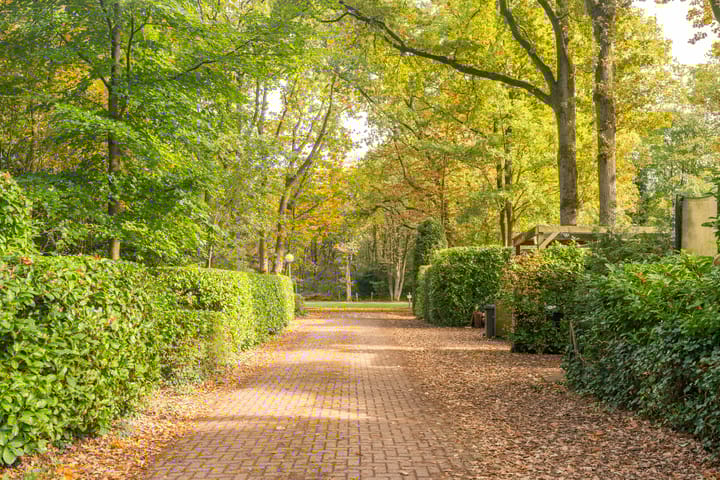 Foto 7 van Rading 16-04