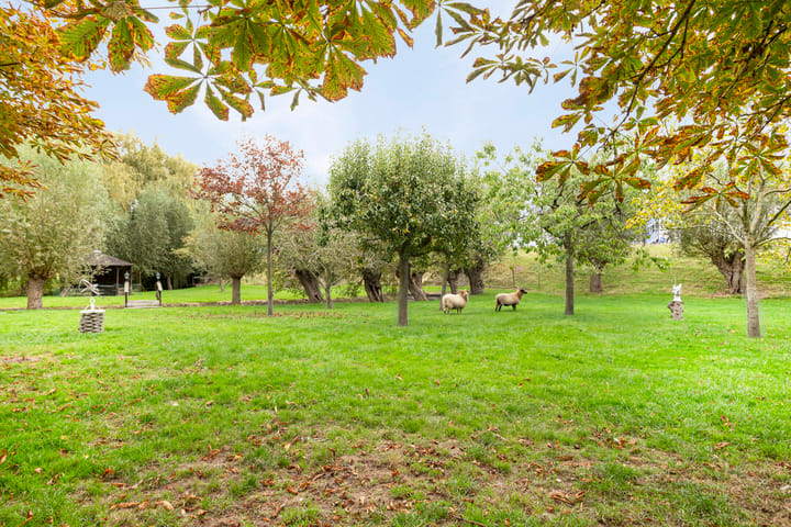 Foto 29 van Burgemeester van Cittersstraat 2