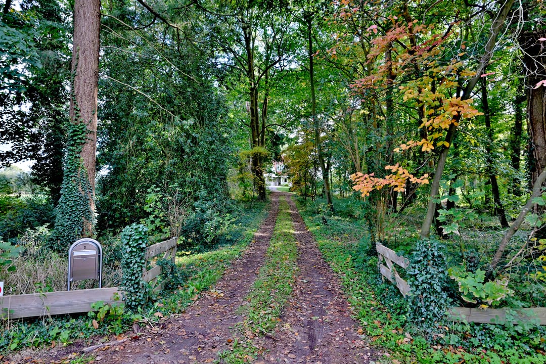 Foto 8 van Weerdsweg 1