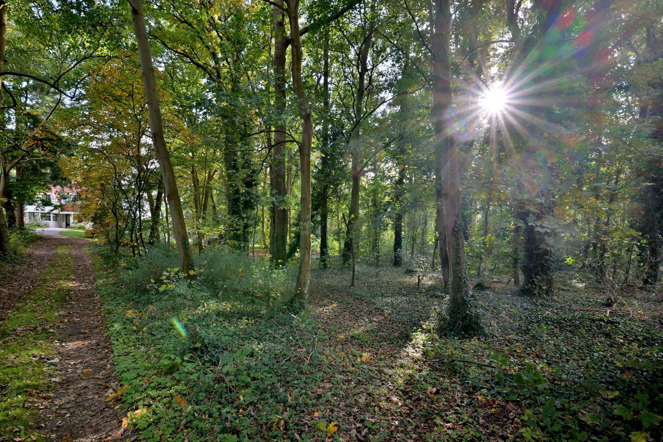 Foto 9 van Weerdsweg 1