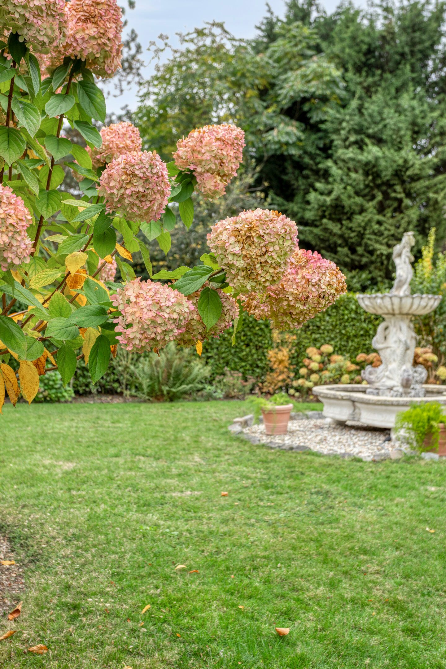 Foto 48 van Beeklaan 85