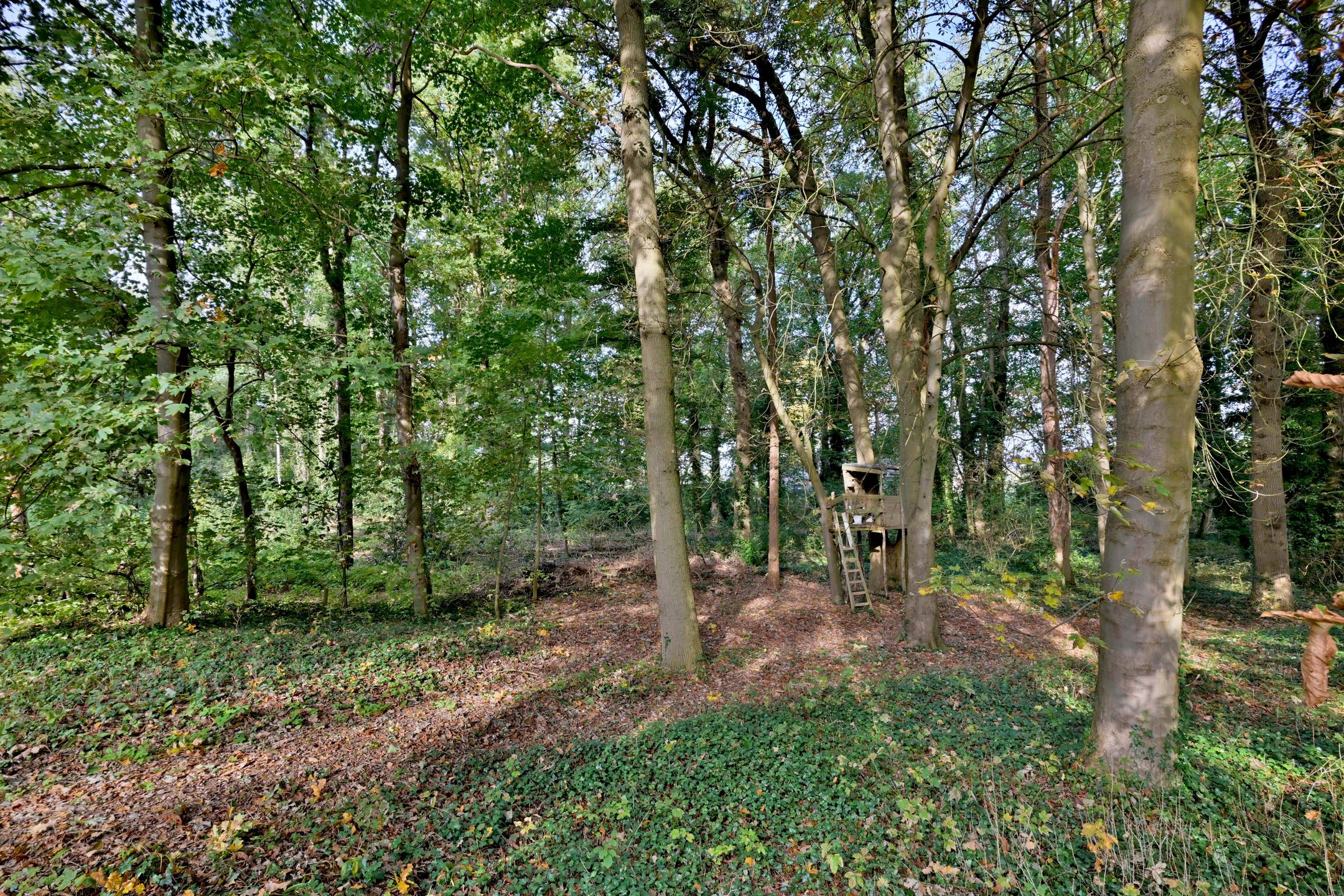 Foto 75 van Weerdsweg 1