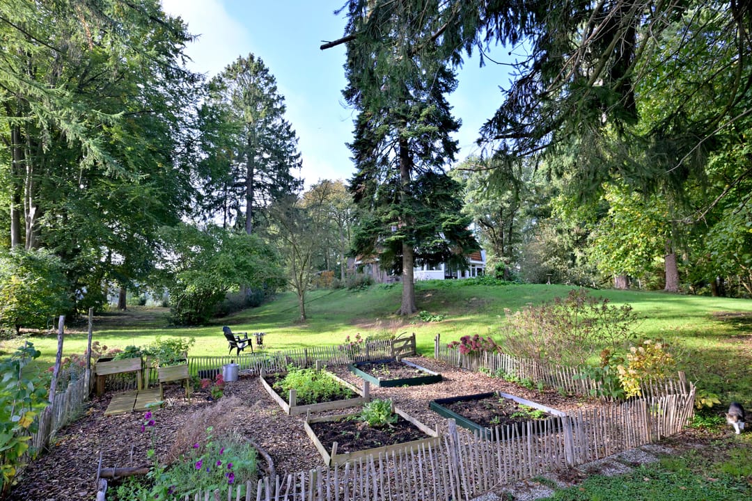 Foto 77 van Weerdsweg 1