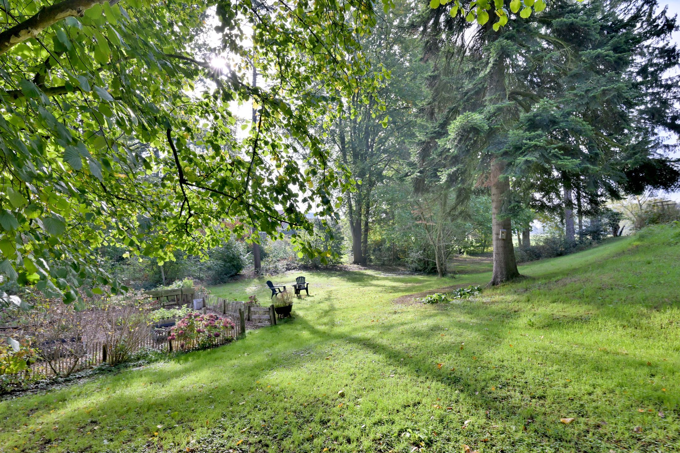 Foto 78 van Weerdsweg 1