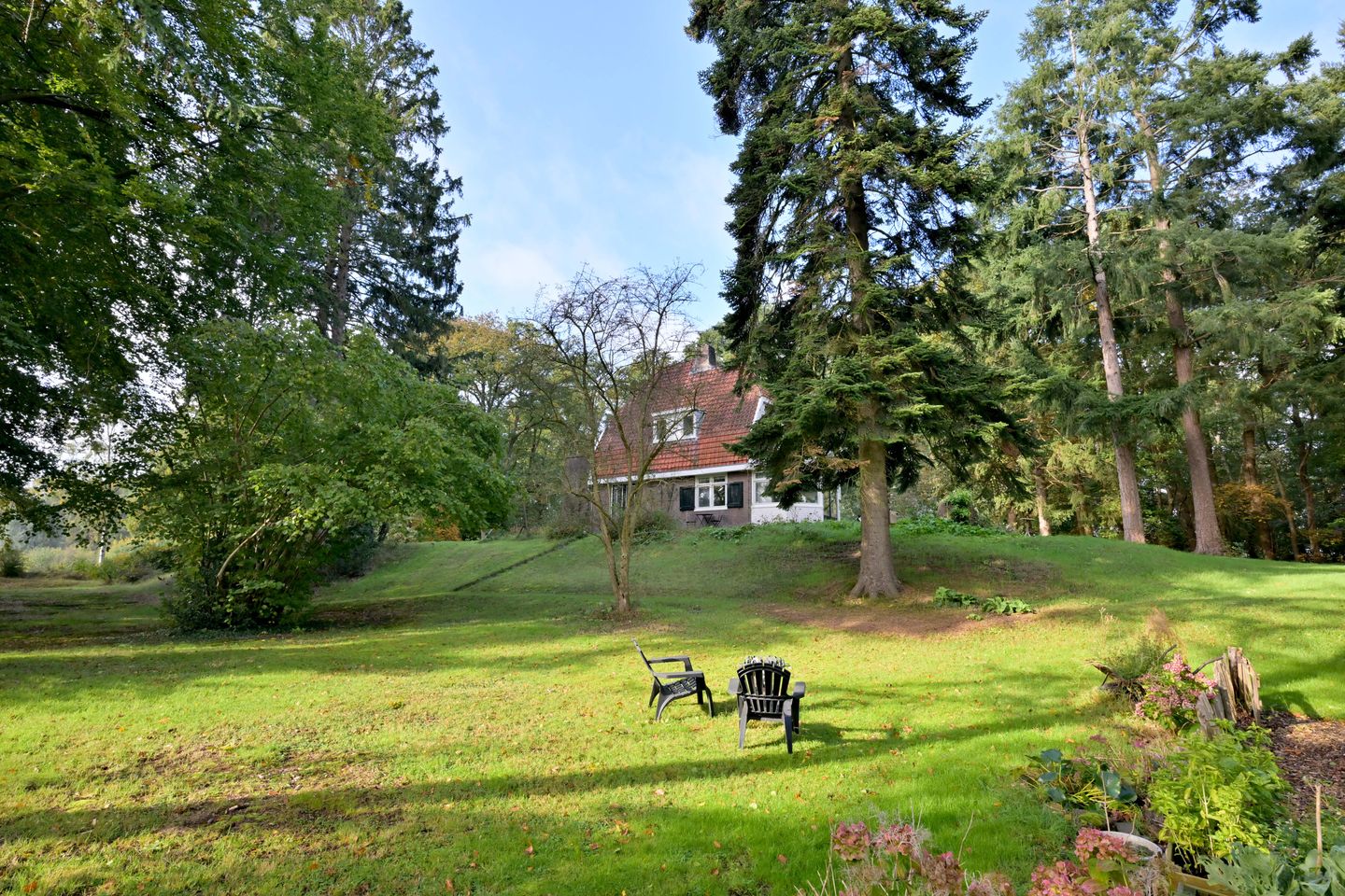 Foto 80 van Weerdsweg 1