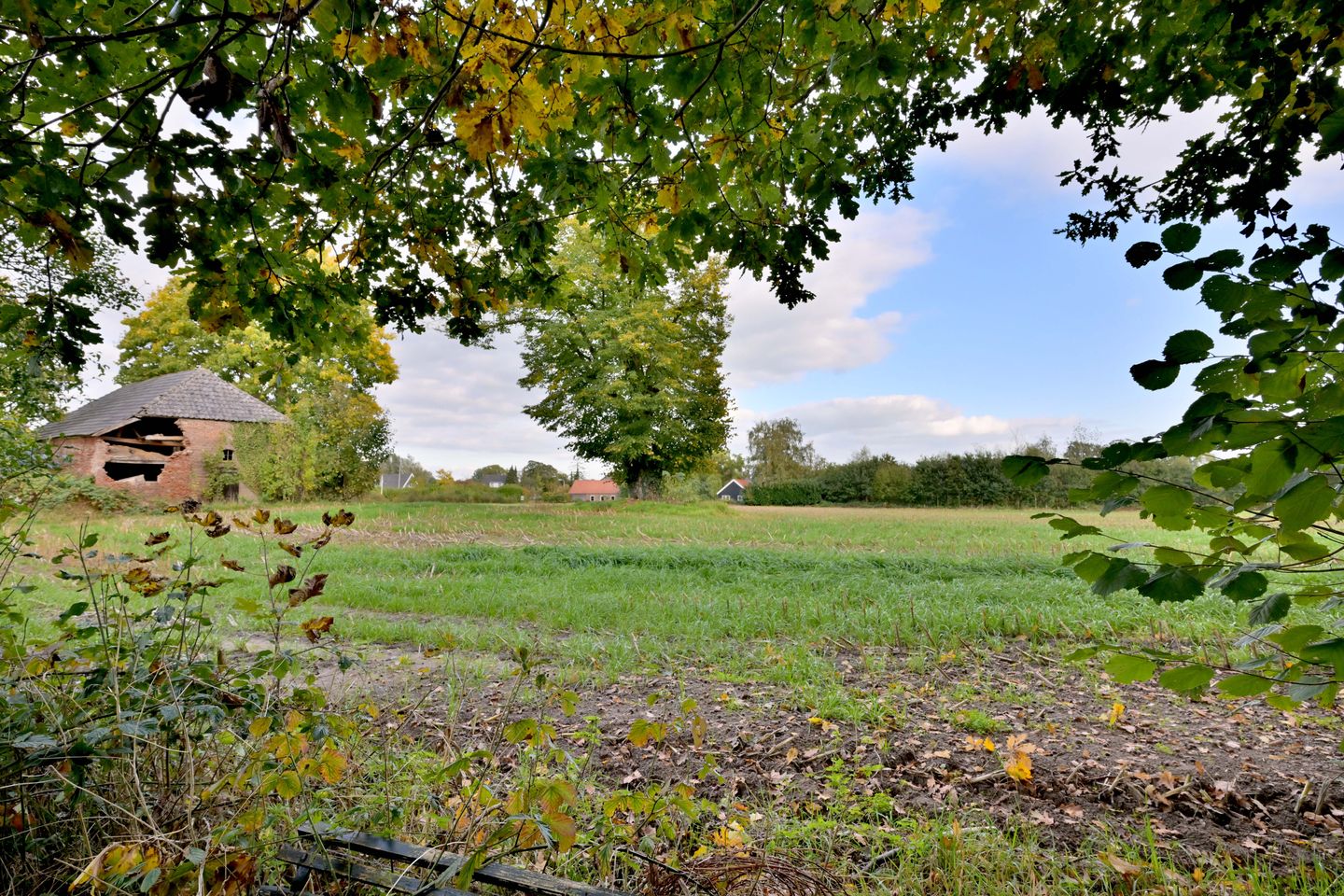 Foto 89 van Weerdsweg 1