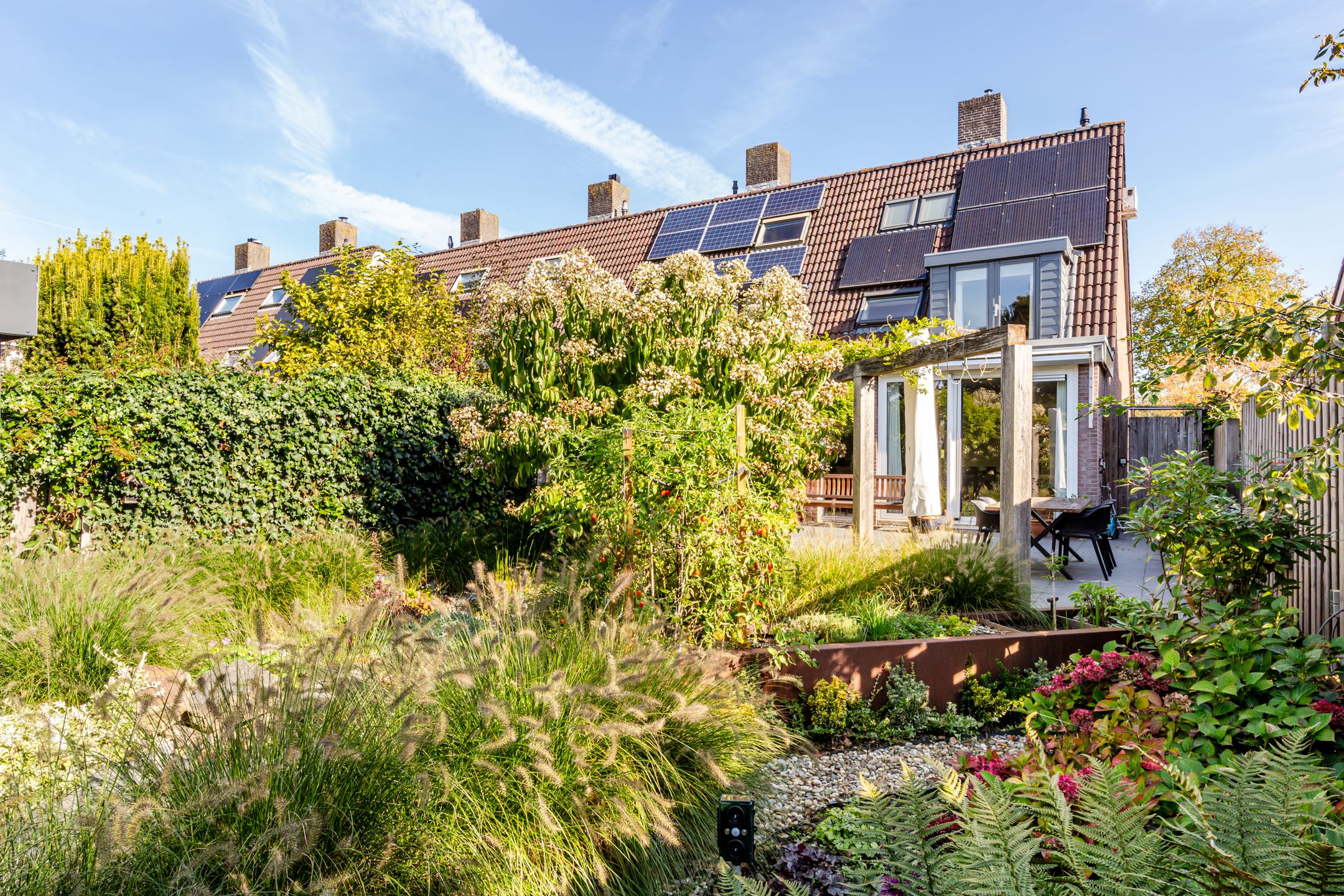 Foto 3 van Boeier 02 45