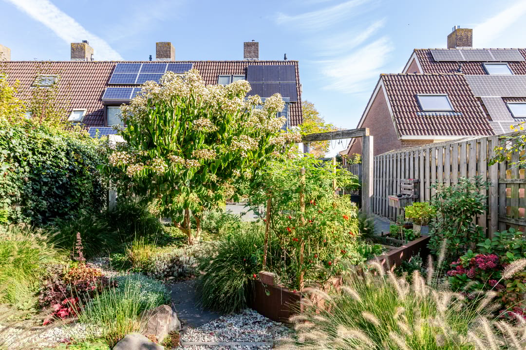 Foto 31 van Boeier 02 45