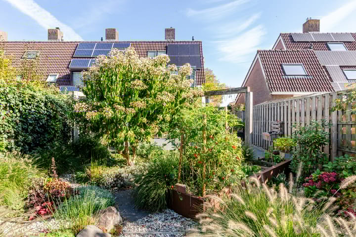 Foto 31 van Boeier 02 45