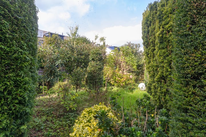 Foto 33 van Breeuwer 1