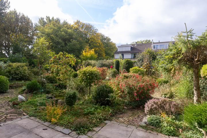 Foto 37 van Breeuwer 1