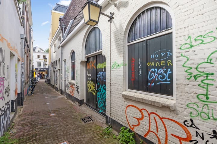 Foto 3 van Hamsteeg 4