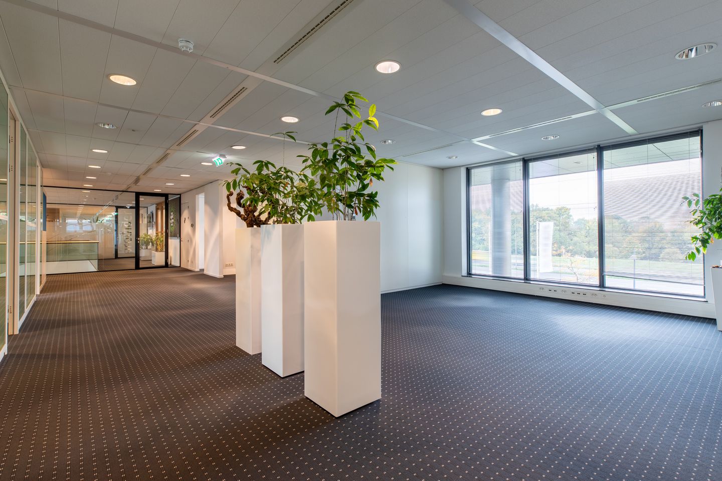 Bekijk foto 4 van Amerikalaan 110