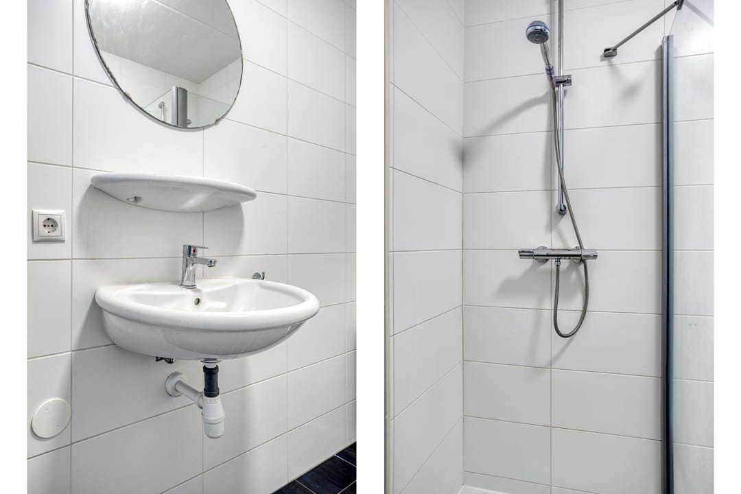 Foto 11 van Gelderse Roos 44