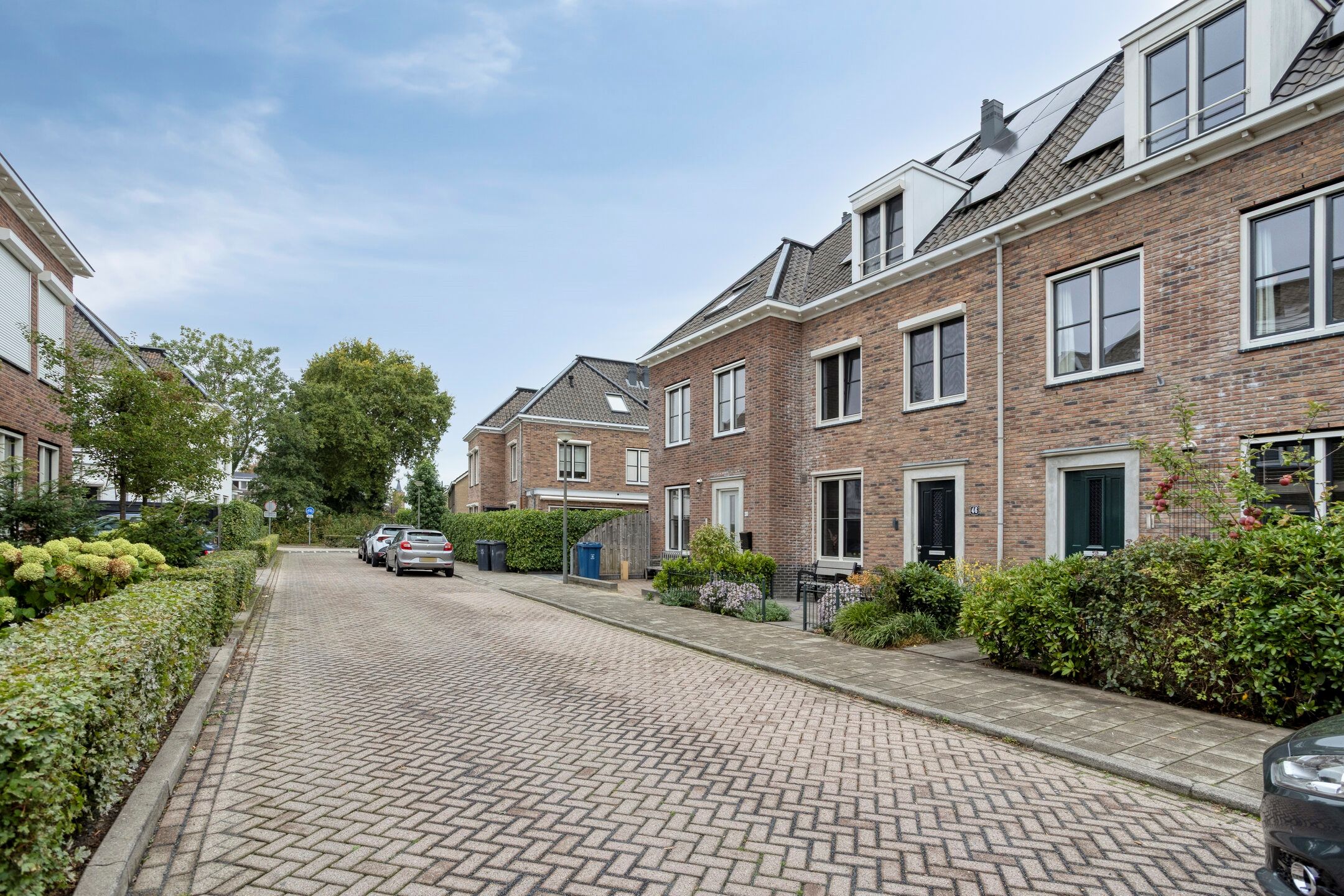 Foto 36 van Gelderse Roos 44