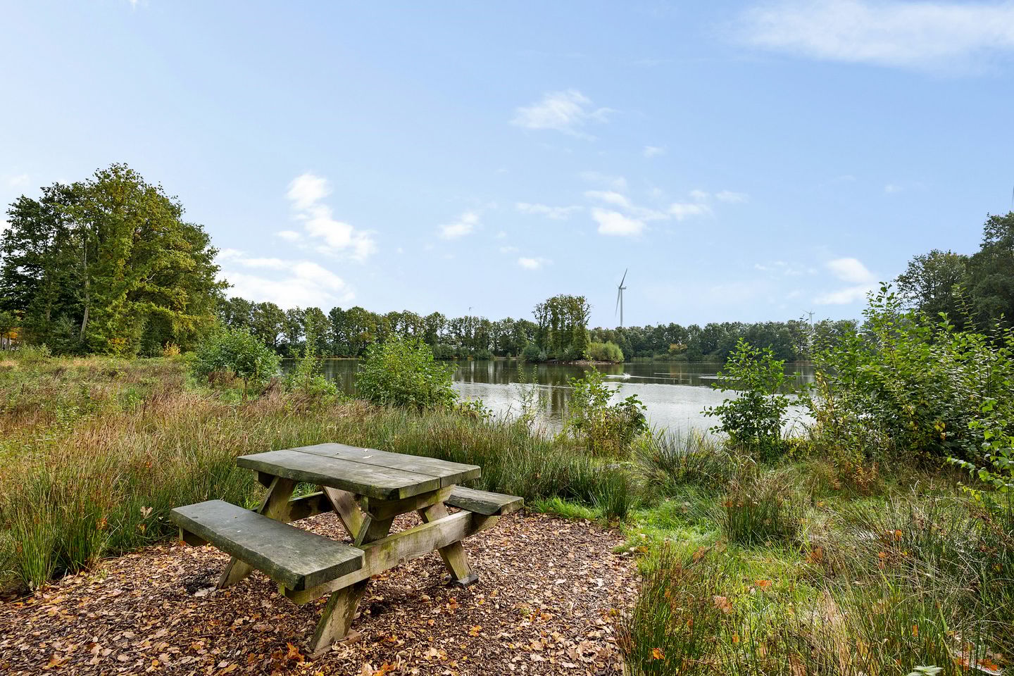 Foto 4 van Zuiderdiep 419