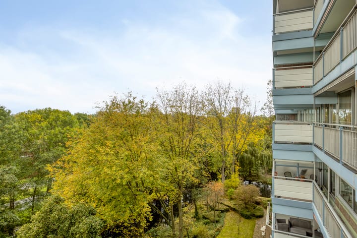 Foto 22 van Aart van der Leeuwlaan 1082