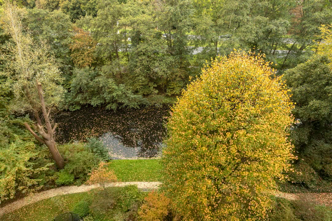 Photo 23 of Aart van der Leeuwlaan 1082