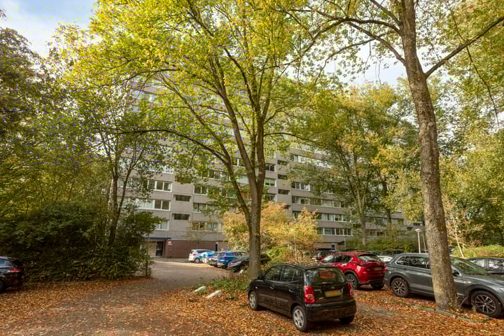 Foto 25 van Aart van der Leeuwlaan 1082