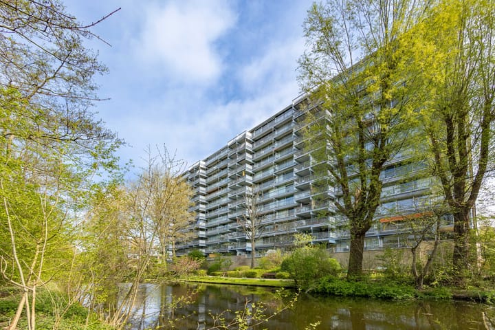 Foto 27 van Aart van der Leeuwlaan 1082