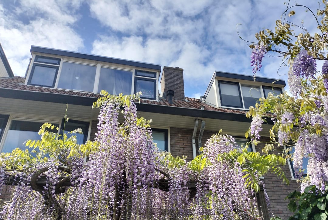 Photo 32 of Van Meursstraat 47