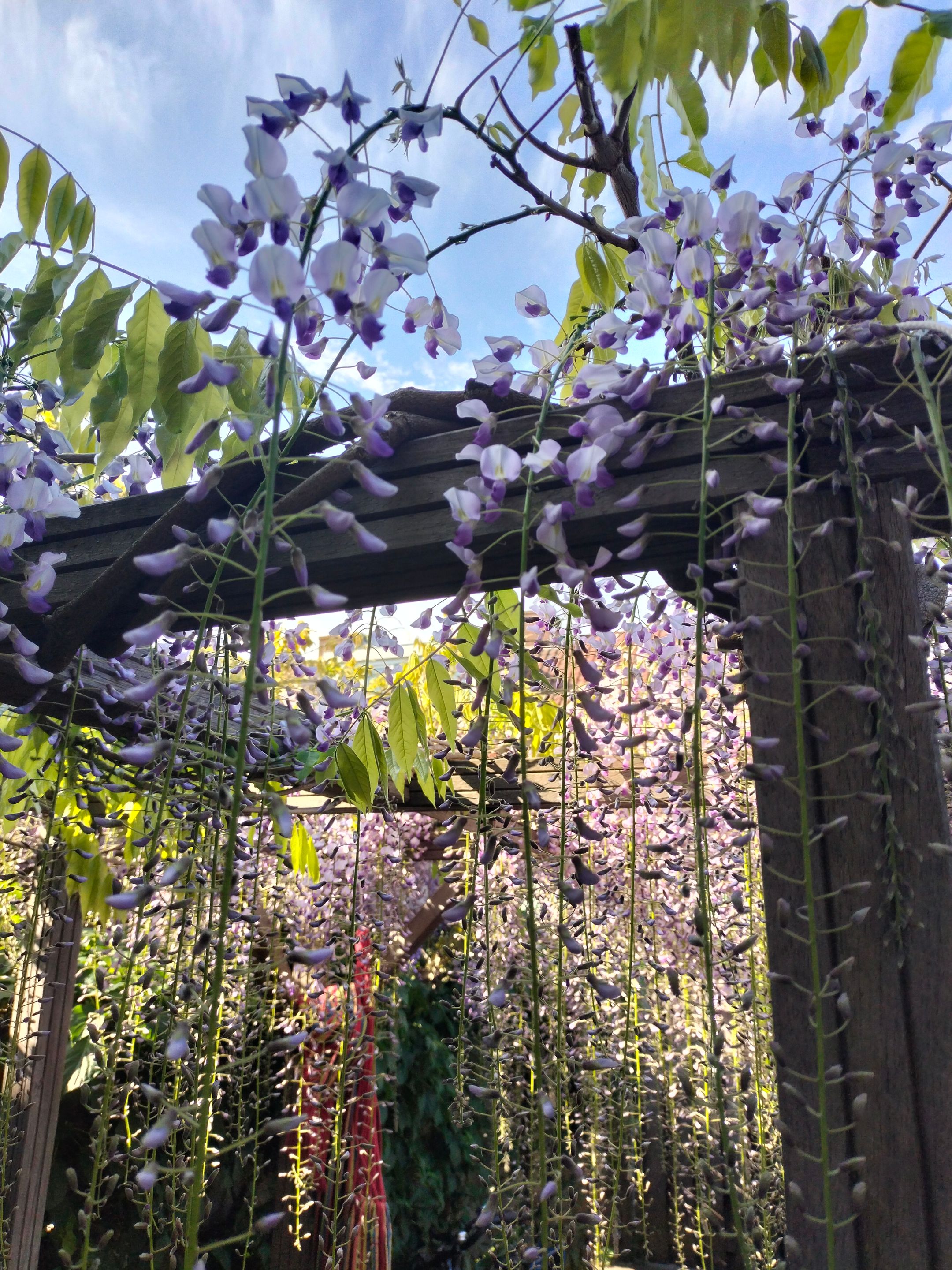 Photo 33 of Van Meursstraat 47