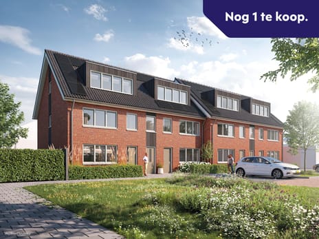 Lupinestraat 8 woningen main image