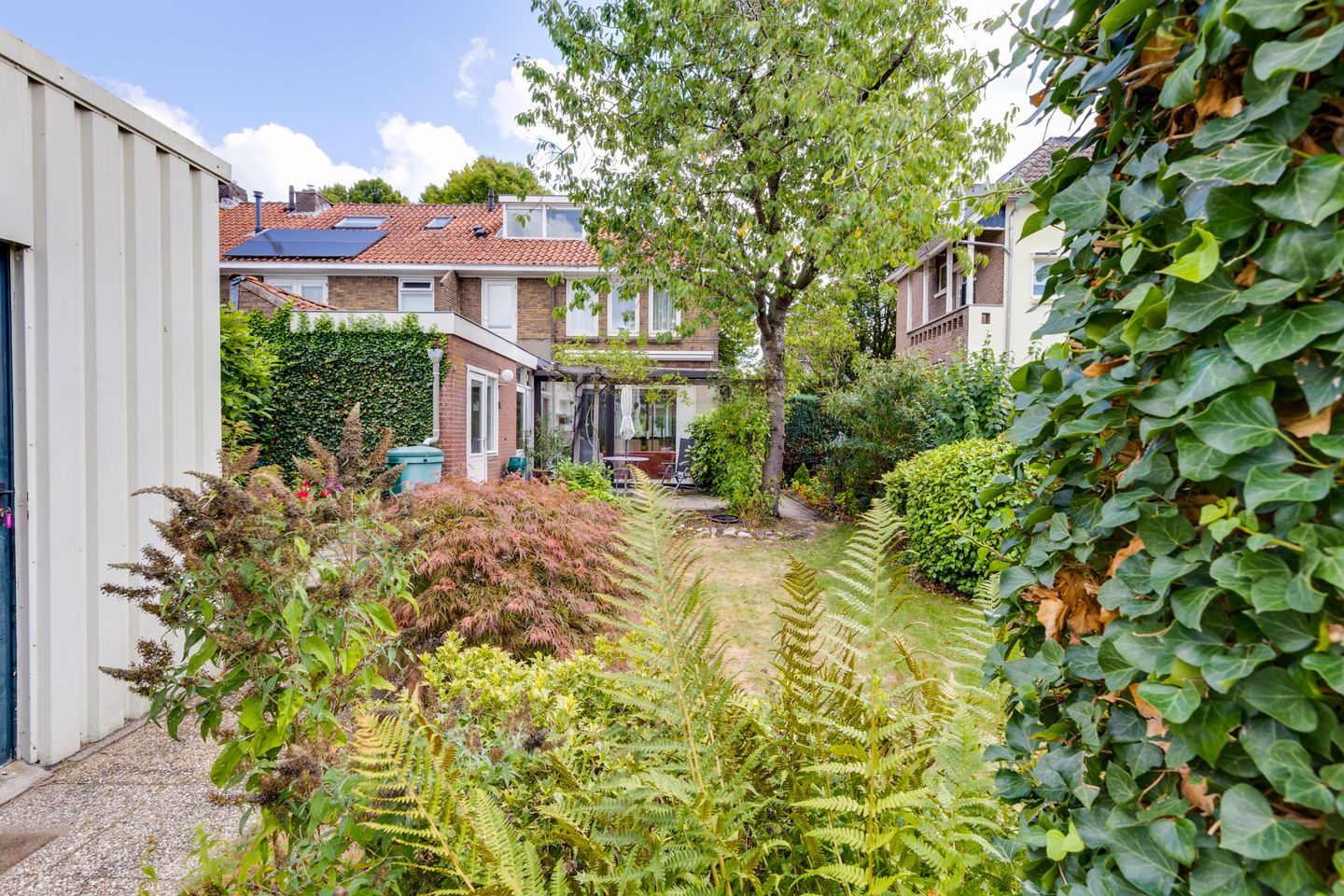 Foto 50 van Wilhelminastraat 103