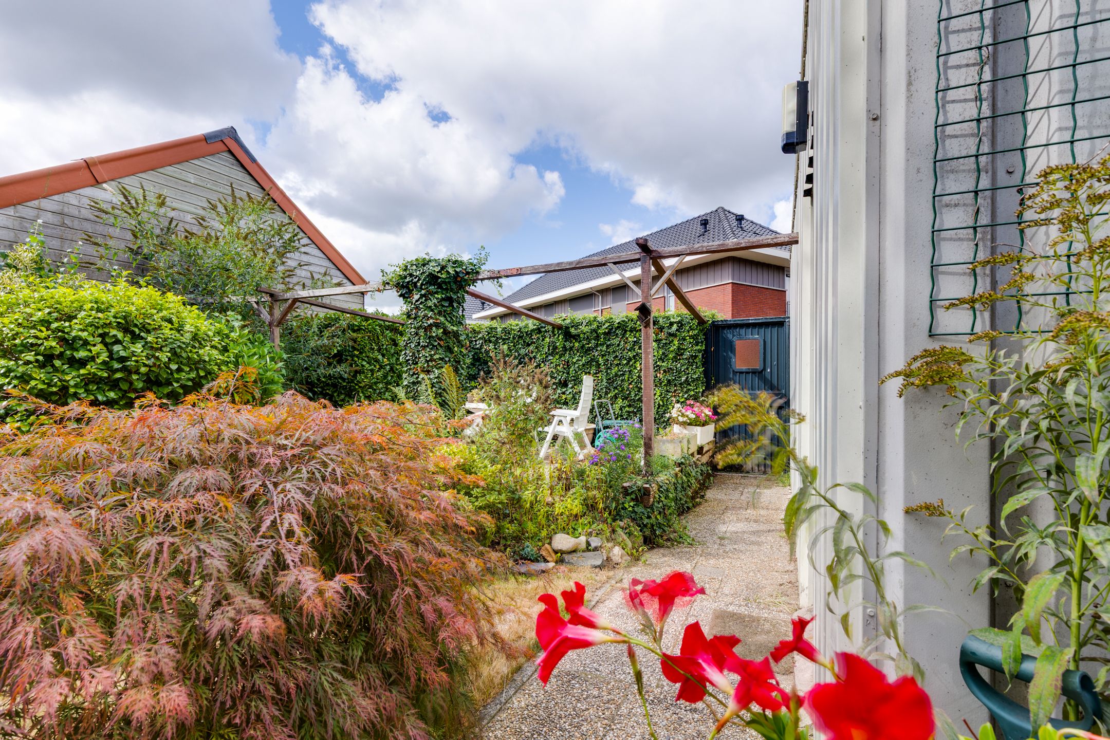 Foto 54 van Wilhelminastraat 103