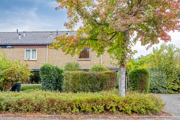 Foto 6 van Wetering 47