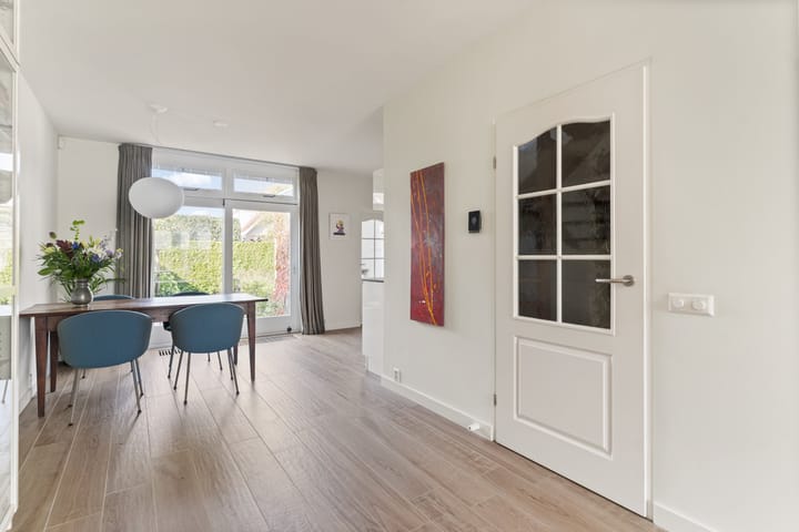 Foto 11 van IJsvogel 11