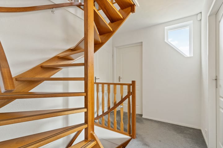 Foto 18 van IJsvogel 11