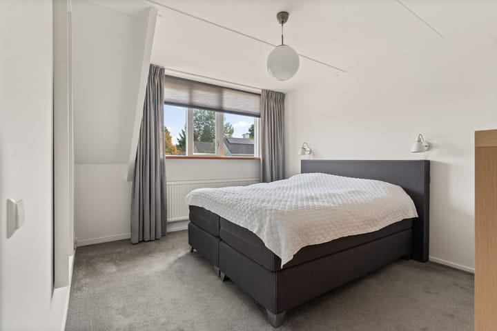 Foto 22 van IJsvogel 11