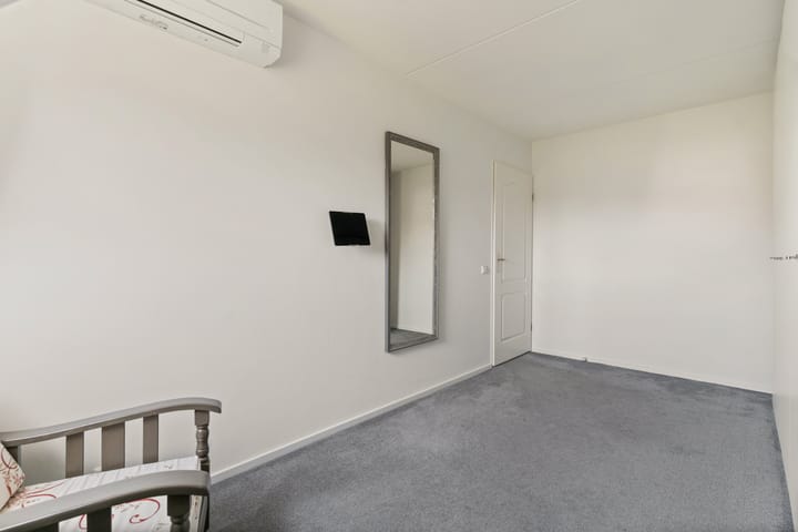 Foto 24 van IJsvogel 11