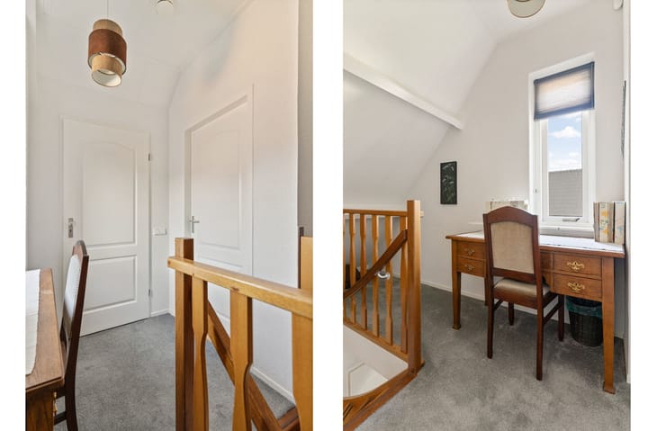 Foto 31 van IJsvogel 11