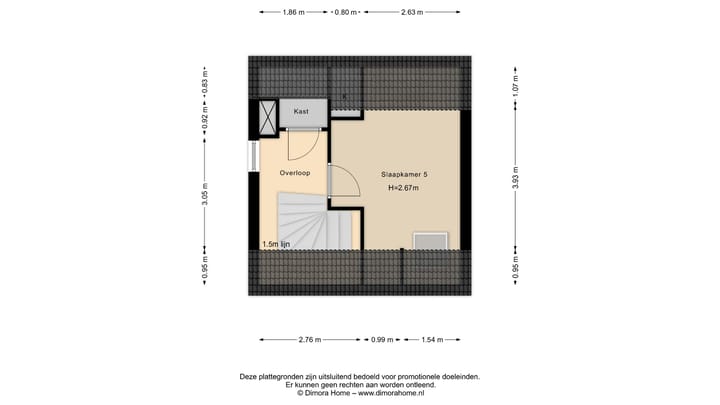 Foto 46 van IJsvogel 11