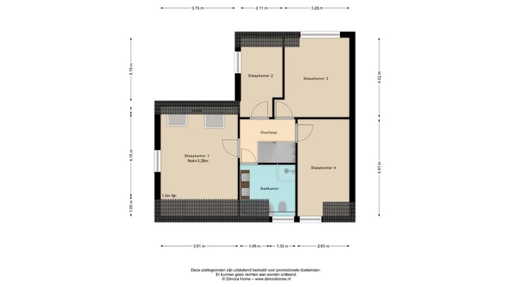 Foto 45 van IJsvogel 11
