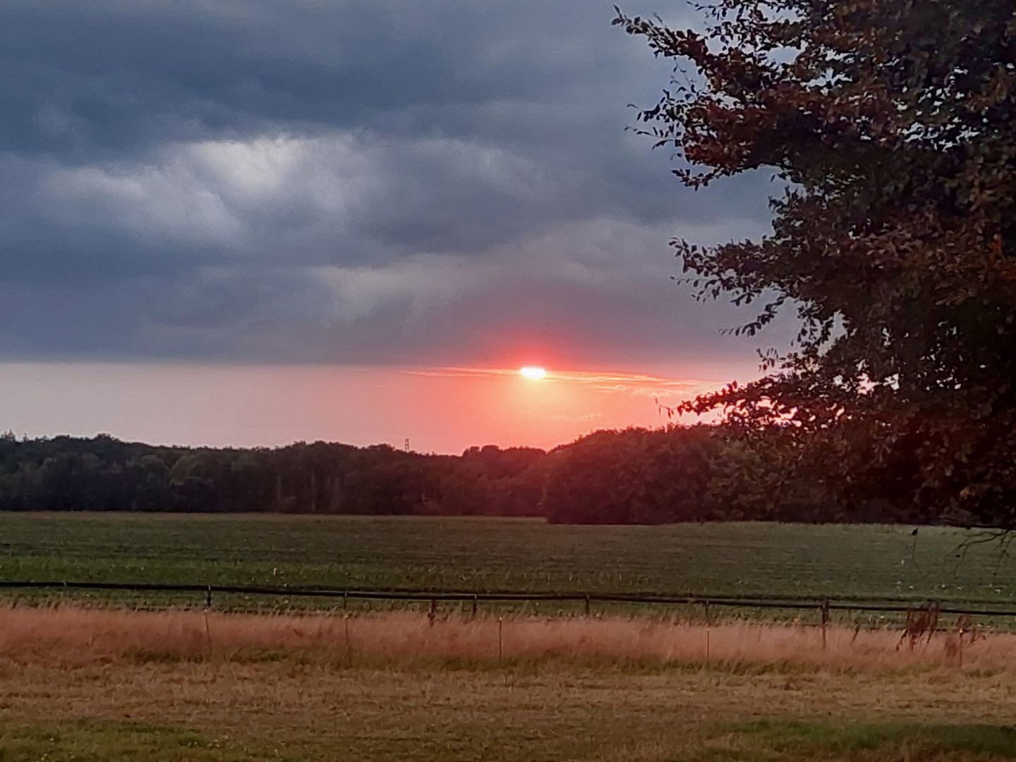 Photo 70 of Hulhorstweg 55