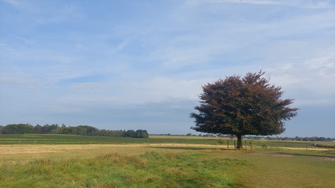 Photo 71 of Hulhorstweg 55