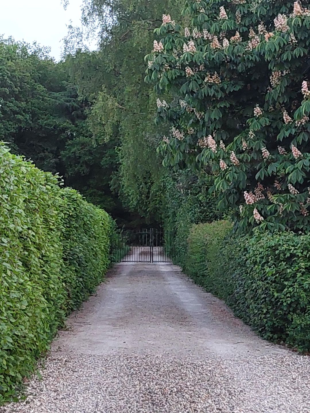 Photo 73 of Hulhorstweg 55